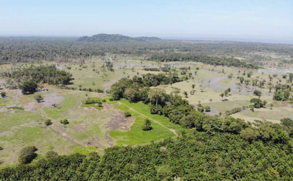 Ambiente y tecnología entre las prioridades de la nueva cooperación UE-Centroamérica