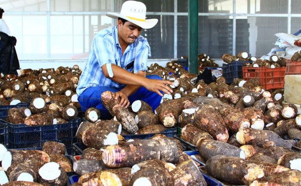 Instan a empresas dar valor agregado a sus productos