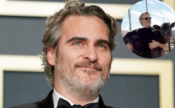 Joaquín Phoenix salvó a una vaca y a su cría del matadero