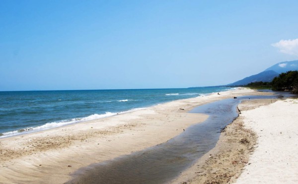 La mitad de la playas de arena podrían desaparecer este siglo
