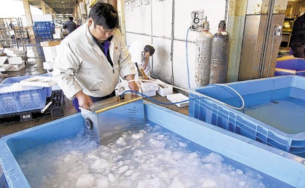 El sorprendente poder de las burbujas japonesas