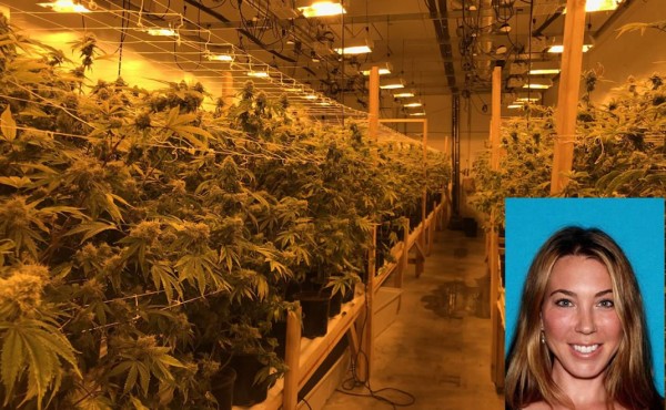 Madre hizo millones con mega cultivo de marihuana