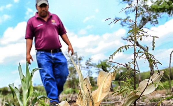 Banca pone a disposición $25 millones en créditos