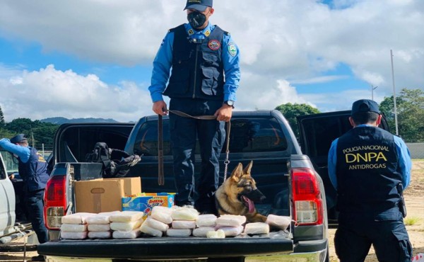 Hallan 30 paquetes de supuesta cocaína dentro de vehículo en Siguatepeque