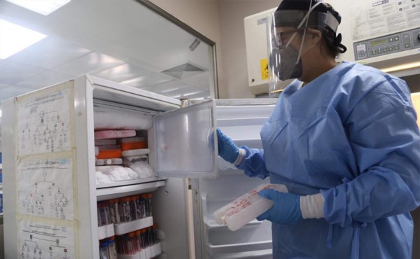Laboratorio de virología en Unah-vs comienza el procesamiento de 1,000 pruebas PCR