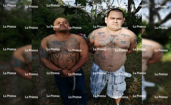 Mareros detenidos jefeaban sicariato y narcomenudeo de la MS