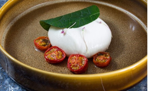 Mini tacos de queso burrata con tomate cherry