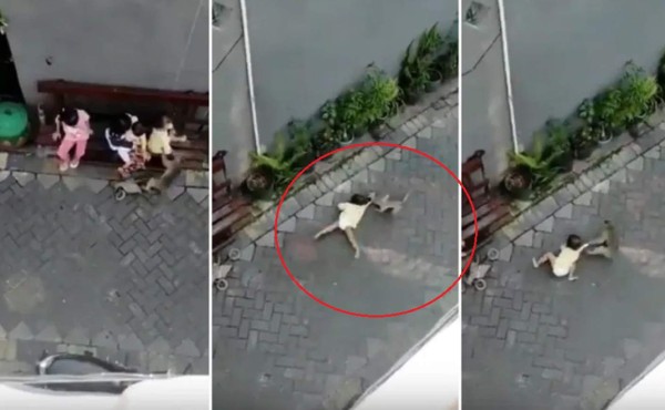 Video viral: Mono 'endemoniado' trató de secuestrar a una niña