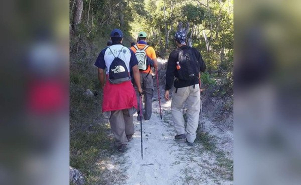 Piden que EUA apoye búsqueda de bióloga extraviada