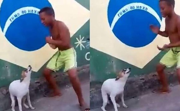 Perro demuestra su capacidad para ser instructor de samba