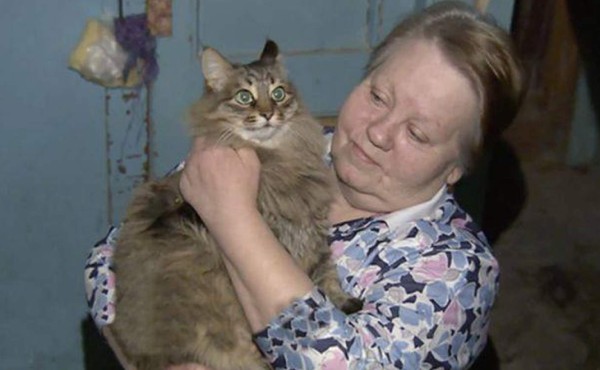 Un gato callejero salva la vida de un bebé abandonado en Rusia