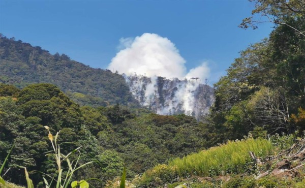 Helicópteros de FFAA controlan incendio en zona núcleo de Montaña de Santa Bárbara