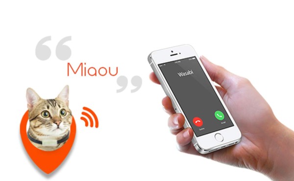 Weenect Cats, el primer teléfono para gatos