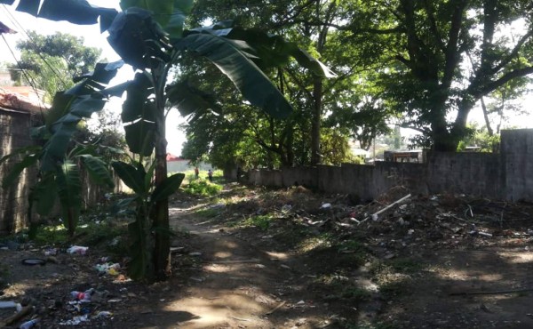 Encuentran el cadáver de un hombre en un solar baldío de San Pedro Sula