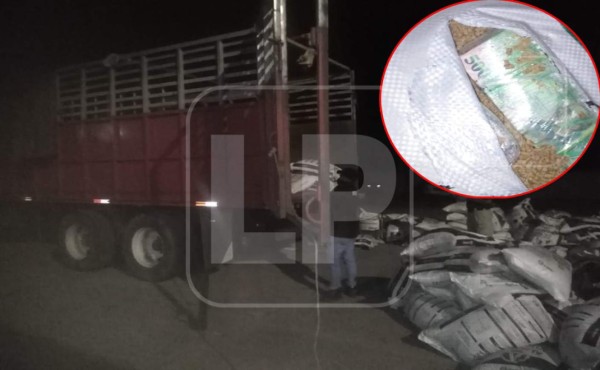 Hallan fuerte cantidad de dinero en camión cargado de sacos de concentrado