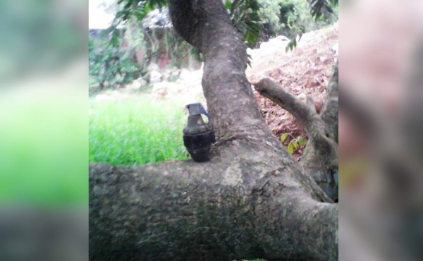 Dejan sobre árbol una granada de fragmentación