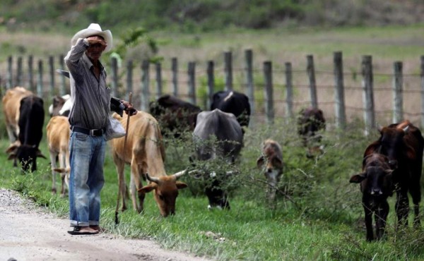 Honduras debe reenfocar sus políticas de crecimiento tras superar el coronavirus