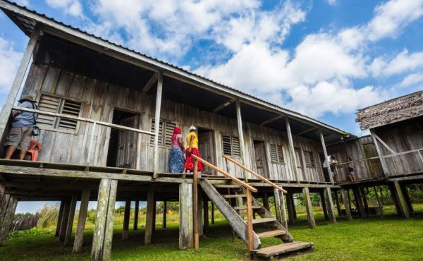 Dan 1,4 millones de hectáreas a 17,500 familias hondureñas de la etnia misquita&nbsp;&nbsp;