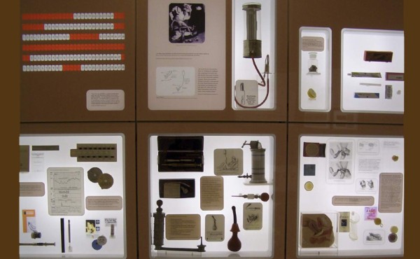 Museo para educar sobre la anticoncepción cumple 10 años