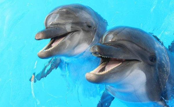 Anuncian la creación de distritos turísticos valles y montañas en Honduras