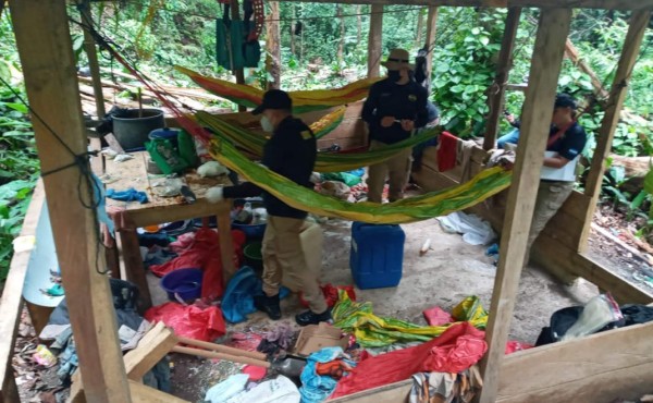 Honduras desmantela narcolaboratorio y destruye plantación de coca