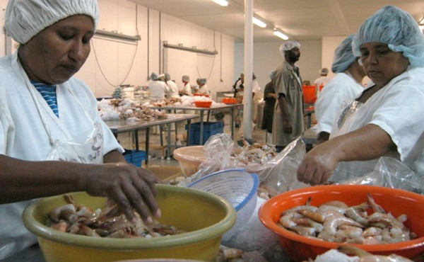 Honduras solicita a México levantar bloqueo al camarón