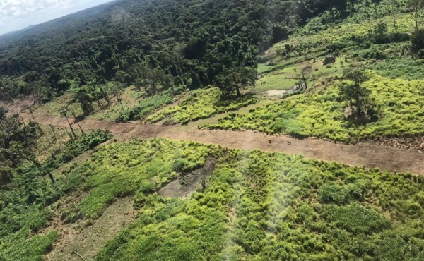 Hallan y destruyen en Gracias a Dios una pista clandestina usada para narcotráfico