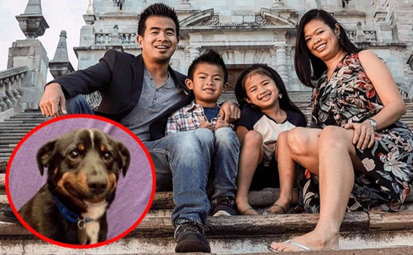 Perro callejero se roba el show en una sesión fotográfica familiar