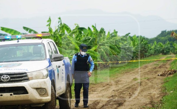 Con varios impactos de bala encuentran cadáver en platanera de La Lima