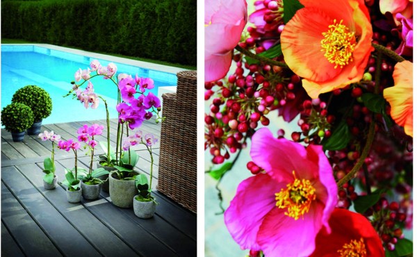 Explosión floral en cada rincón