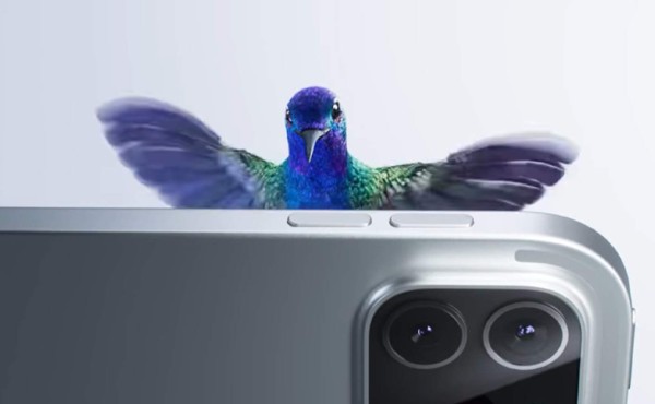Apple usa el colibrí hondureño en campaña del nuevo iPad Pro
