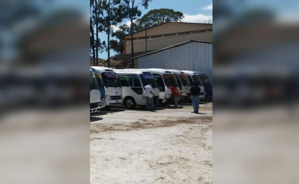 Decomisan buses por irregularidades en permisos de operación