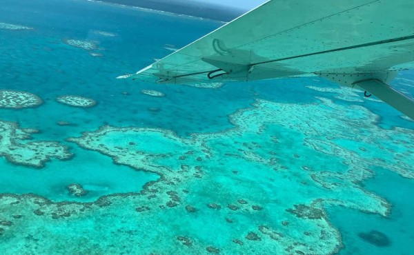 La Gran Barrera de Coral de Australia sufre su peor blanqueamiento en los últimos años