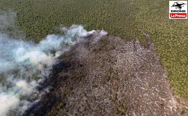 Más de 1,237 incendios, 90% provocados, y solo 2 presos