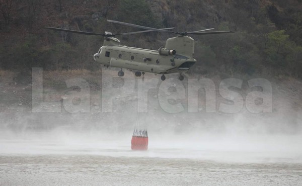 Devastadas 400 hectáreas de pino en Tegucigalpa