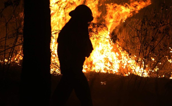 36,000 hectáreas quemadas dejaron incendios en 2017
