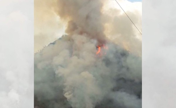 Incendio consume bosque del Parque Nacional Montaña de Celaque  