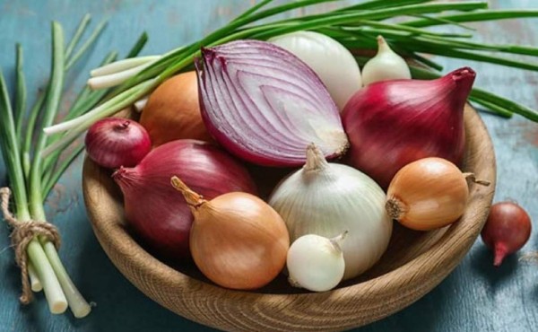 Propiedades curativas de la cebolla en la salud