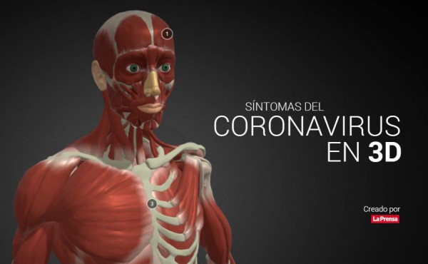 Conozca los síntomas del coronavirus en 3D