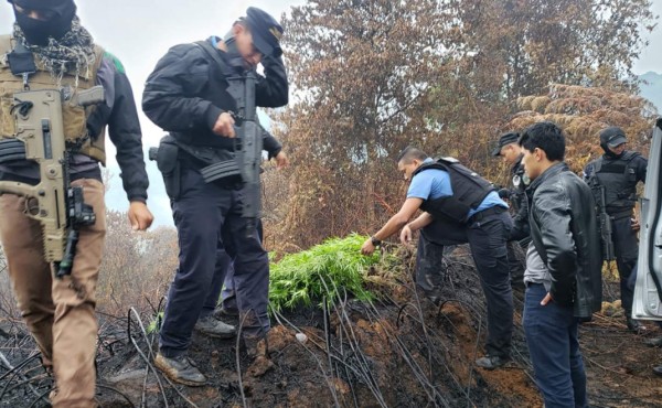 Foto: La Prensa