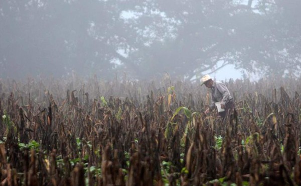 Cambio climático lastra lucha contra la pobreza rural en Honduras