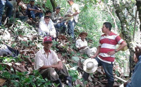 Cacaoteros hondureños negocian con Suiza