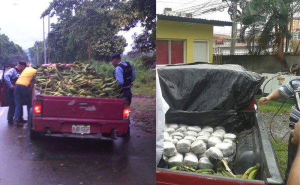 Decomisan droga oculta en carro cargado de plátanos