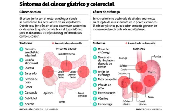 Cánceres de estómago y colon entre las primeras 5 patologías oncológicas