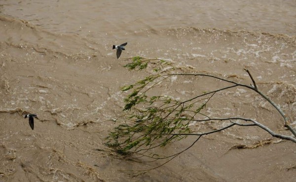 Honduras y Guatemala buscan contrarrestar contaminación del río Motagua   