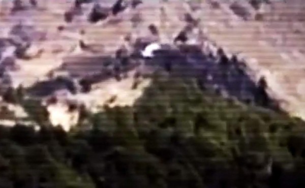 Siete seres extraños captados por cámaras de video