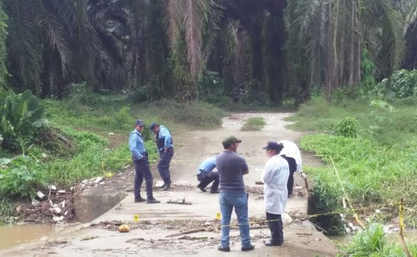 La víctima, aún no identificada, recibió varios impactos de arma de fuego en el interior de una plantación de palma africana.