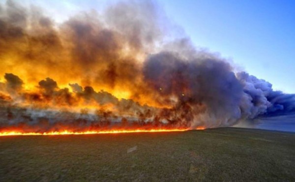 Arde el Amazonas: El pulmón del planeta registra 38,228 incendios en el 2019