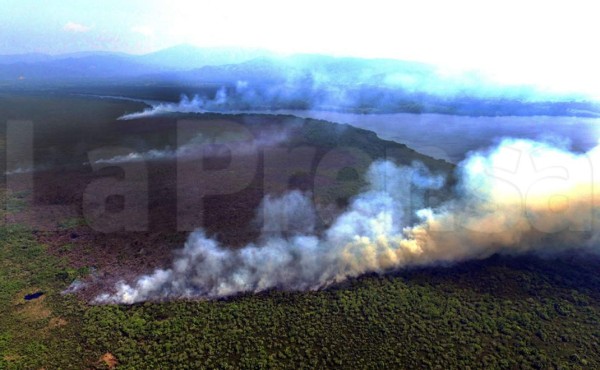 Incendio ya quemó el 10% de la zona núcleo del parque Jeannette Kawas