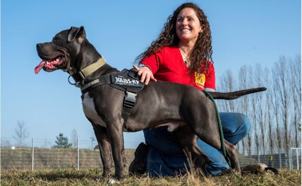 Las mascotas ayudan a los alemanes a sobrellevar la pandemia